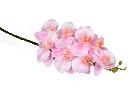 Цена: Цветок искусственный "Розовая орхидея" длина=53 см.