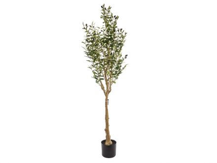 Ціна: Дерево Олива зелена 150 см