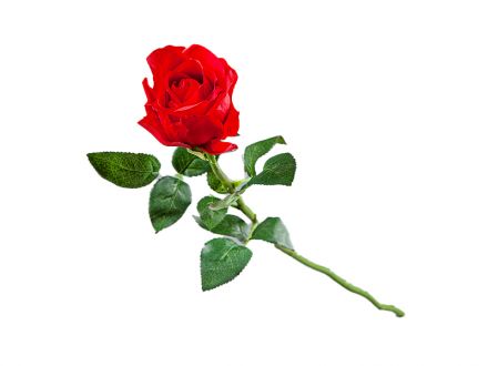 Цена: Роза красная 83см